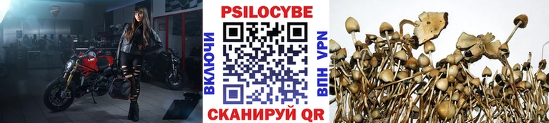 хочу   Улан-Удэ  Псилоцибиновые грибы MAGIC MUSHROOMS 