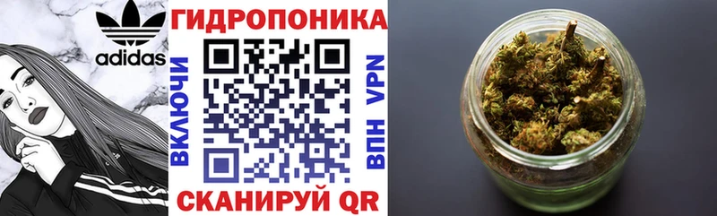 Канабис семена  Улан-Удэ 