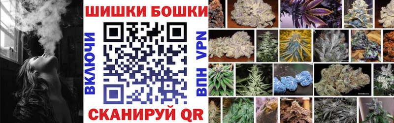 Бошки Шишки семена Улан-Удэ